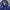 Tracktop Adidas Firebird Dark Navy photo 5