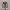Converse Chuck Taylor All Star 70S Hi Back Alley Brick photo 4