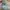 Vintage Oakley Software Logo BIG Longsleve photo 1
