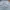 Vintage Oakley Software Logo BIG Longsleve photo 5