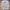 Vintage Oakley Software Logo BIG Longsleve photo 2