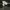 Nike zoom alphafly running shoes photo 4