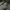Nike zoom alphafly running shoes photo 2