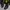 Nike zoom alphafly running shoes photo 8