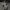 Nike zoom alphafly running shoes photo 1