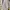 GORP CORE JACKETS 686 WATER PROOF FOR SNOW BOARD photo 4