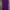 Dickies Purple Scrub 