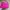 Coach Y2K Tas dompet Wanita pink photo 4