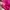 Coach Y2K Tas dompet Wanita pink photo 2