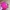 Coach Y2K Tas dompet Wanita pink photo 6