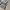 Oinii Y2k baggy long pants Jeans photo 8