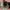 LV sunglasses  photo 2