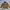 Barbour SL Bedale 