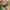 Stradivarius Sneakers in Green Army 38 photo 5