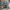 Obral Sendal Dewasa Baru Murah photo 3