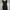 Dres pres body photo 2