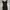 Dres Pres Body