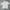 Coach Jacket SPAO Krem Cream photo 1