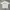 Coach Jacket SPAO Krem Cream