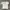 Polo Shirt Golf Master Bunny Edition Broken White Putih