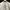 Sweatshirt Crewneck NB New Balance Kids