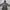 Hoodie dickies photo 2
