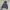 Eddie Bauer Jaket Big Pocket photo 2