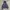 Eddie Bauer Jaket Big Pocket photo 1