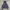 Eddie Bauer Jaket Big Pocket
