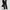 TNGT WIDE CHINO PANTS photo 8