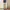 UNIFORM BRIDGE FATIGUE PANTS photo 10