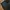 Silk Road Leather Biker Pants photo 5