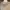 Vintage Casual Going out dress Wanita yellow photo 3