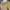 Vintage Casual Going out dress Wanita yellow photo 3