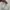 Miss Valley Casual Baju muslim Wanita white photo 4