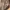 Preowned suit long coat beige photo 4