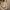 Preowned suit long coat beige photo 3
