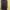 Benhill Woman. Long Shirt Strip Brown. 
