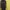 Benhill Woman. Long Shirt Strip Brown. 