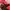 Aigner Vintage Luxury Shoulder bag Wanita red photo 7