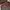 Nett‼️Preowned Massimo Dutti women burgundy leather jacket photo 10