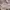 Pull & Bear corduroy oversized long sleeve photo 5