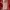 Streetwear Sportswear Hat Pria red photo 6