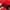 Streetwear Sportswear Hat Pria red photo 7