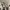 Sweatshirt Crewneck Tahiti Charming Korea photo 4