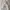 ZARA Cardigan Rajut Putih Kepang Timbul Wanita photo 4