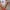 Streetwear Sportswear Hat Pria multicolor photo 5