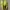 Vans Sneakers (neon Yellow)