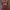 Jersey Western Sydney Wanderers Women 2023 Madison McComasky photo 1