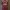 Jersey Western Sydney Wanderers Women 2023 Madison McComasky